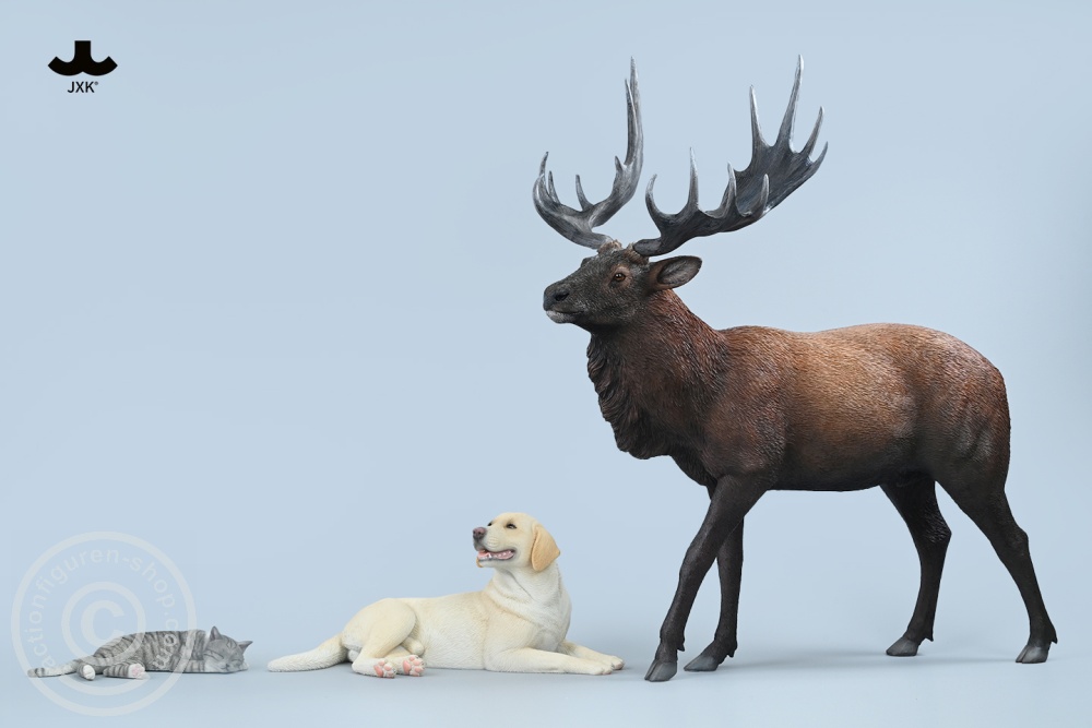 Reindeer - Color A Reindeer - Color A