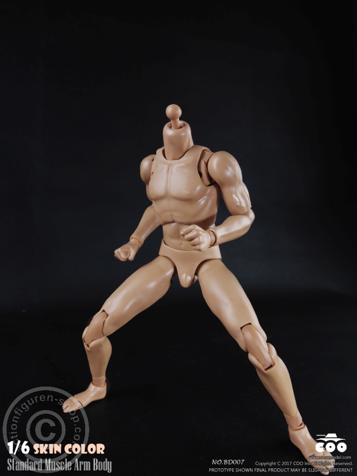 Male Body 2.0 - Muscular - 25cm