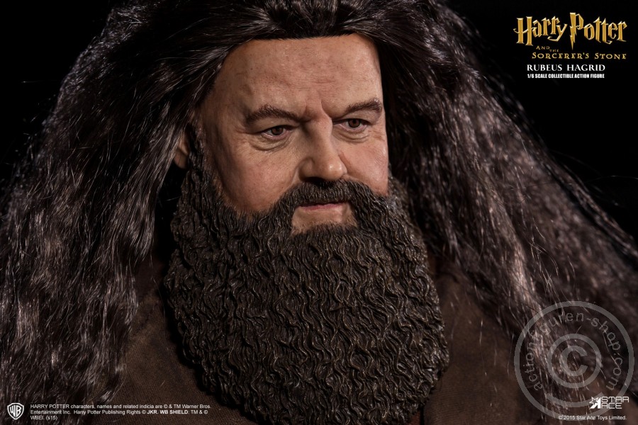 SA024-04y2w53QUfZcW3O Rubeus Hagrid (Deluxe) - Harry Potter u.d. Stein der Weisen