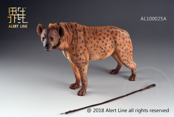 ALL1025AB-08 Crocuta - 1/6 scale