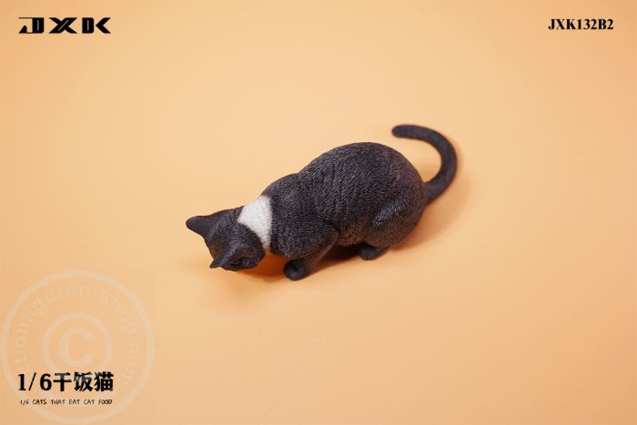 Cats That Eat Cat Food - B2 Cats That Eat Cat Food - B2