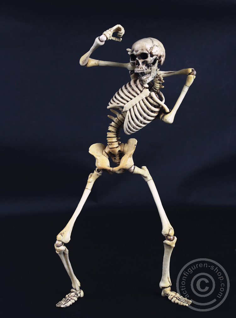 Skeleton Spear Soldier - Human Skeleton in 1:6