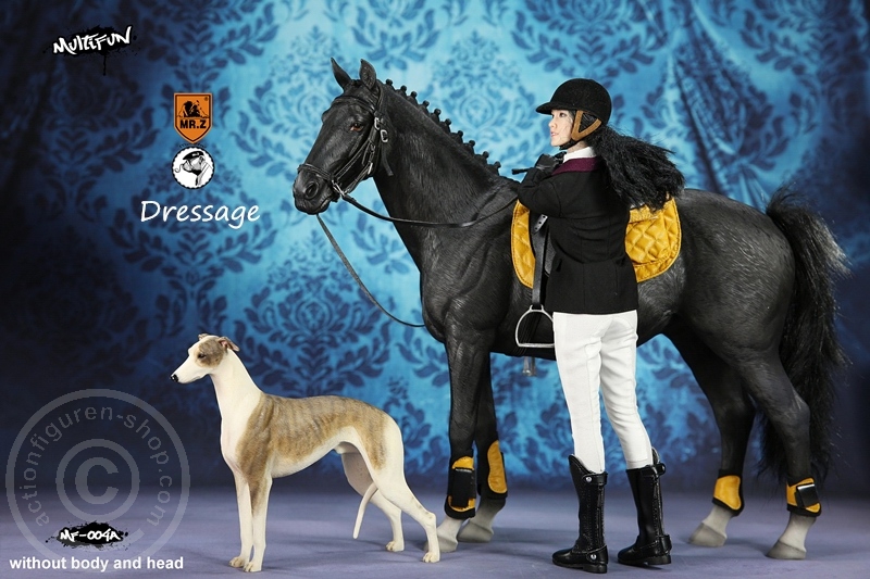 Dressage Set A