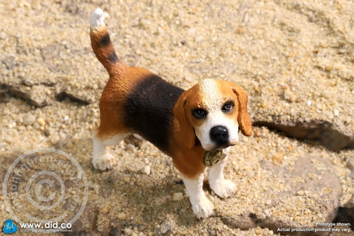 Diorama - "Star of Afrika"