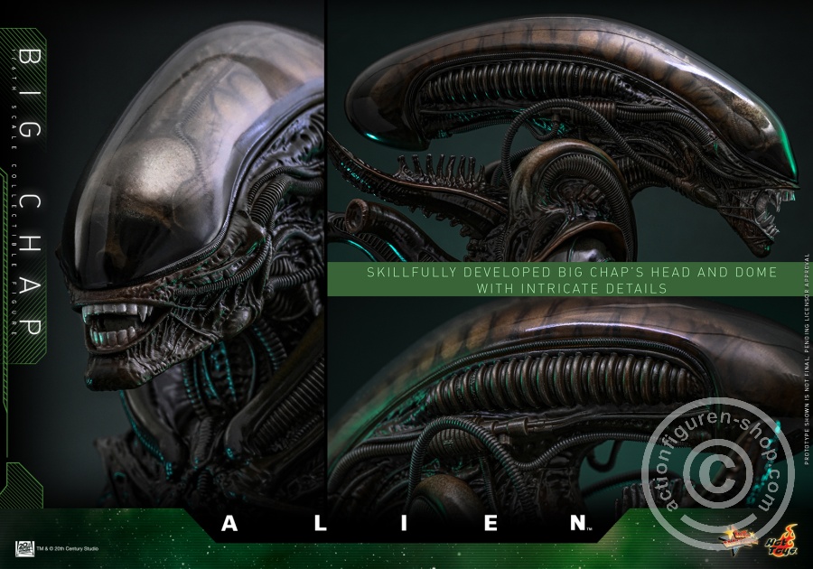 Hot Toys – MMS826 - Alien - 1/6th scale Big Chap Collectible Figure