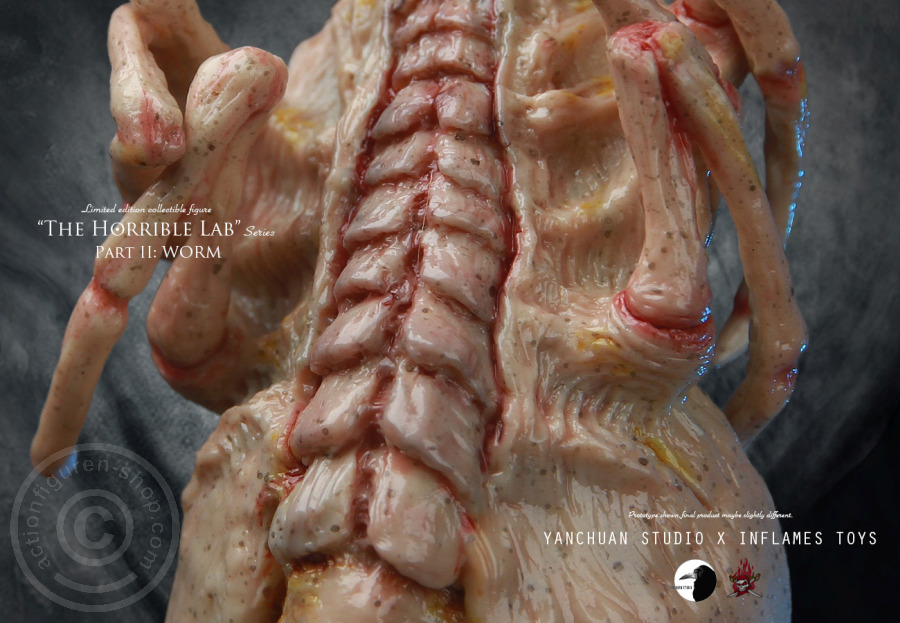 IFT-022-19 The Horrible Lab Series - WORM