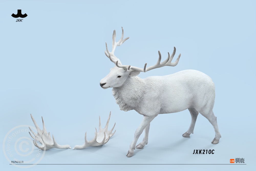 Reindeer - Color C