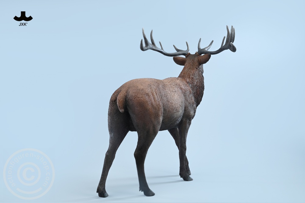 Reindeer - Color A Reindeer - Color A