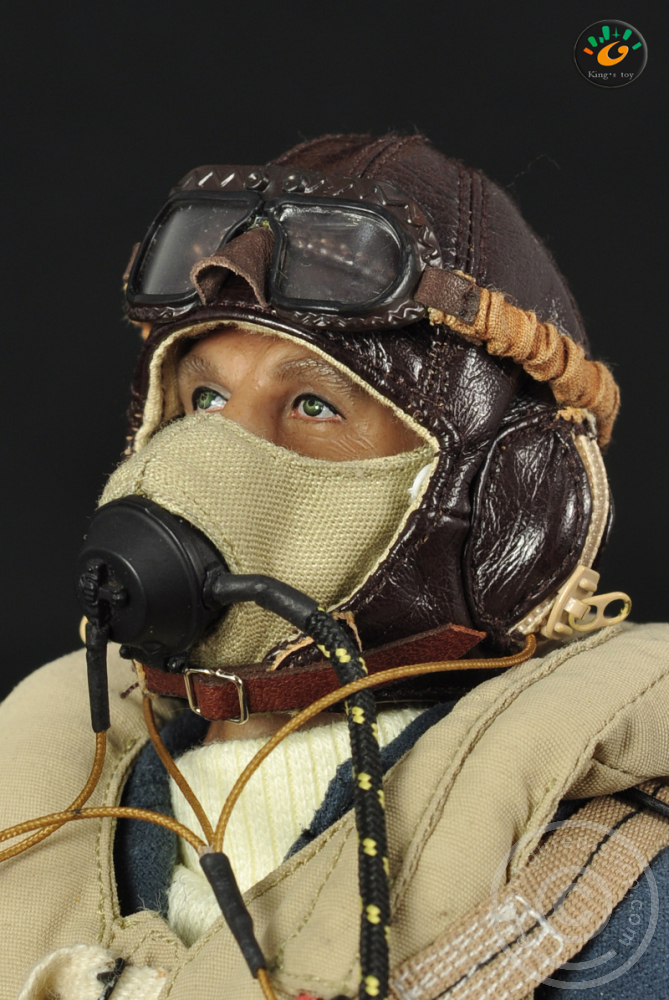 KT8003-16l2ZGoVNaA4aCi RAF British Pilot