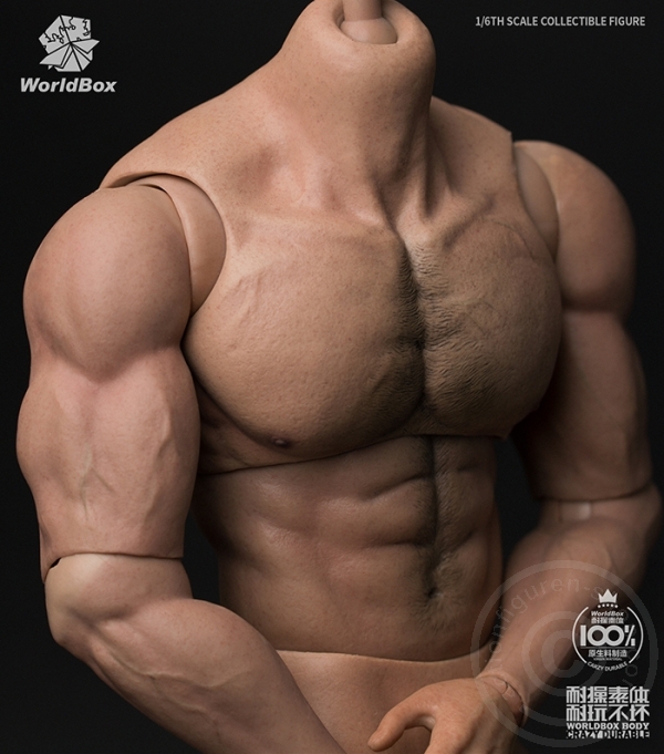 wb-at027-09UjjMhkKMgFh8k Body - Crazy Durable -