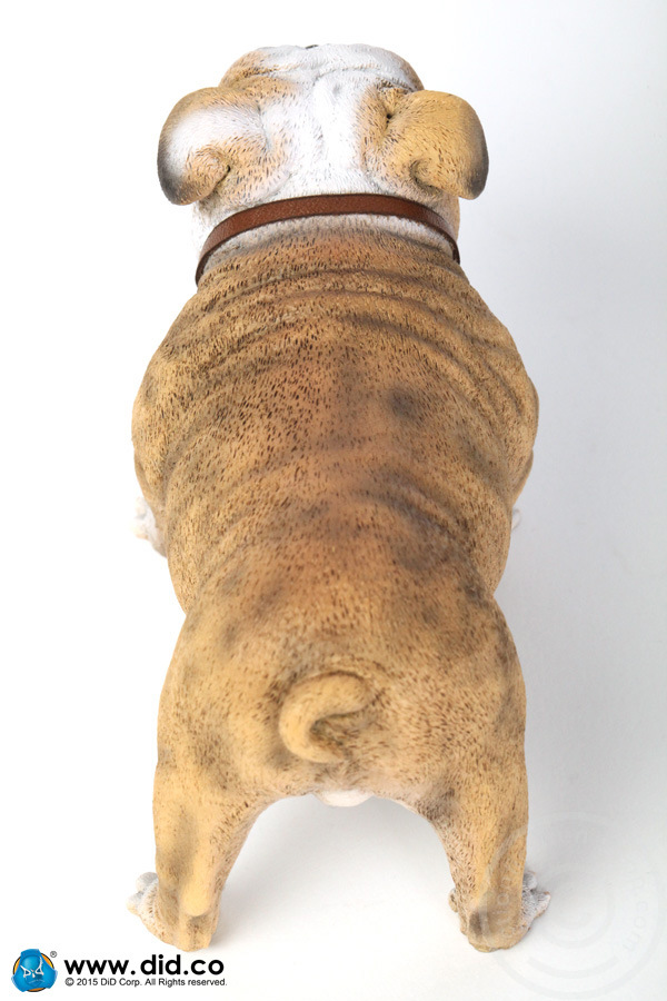 AS002A-08 British Bulldog - Version A