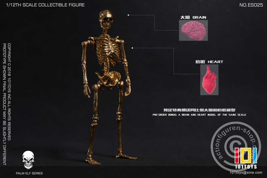 Palm Elf Series - Skeleton Frame Body - Limited Edition Gold double Set - in 1/12 scale