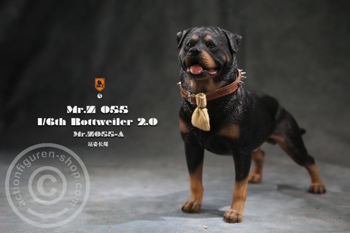 Rottweiler - Version A