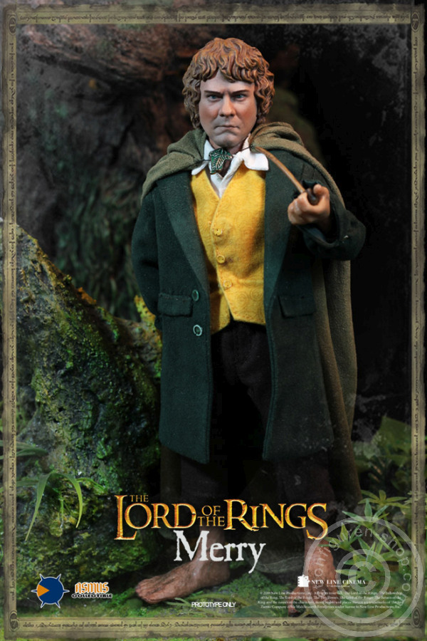 AST028-10 Merry und Pippin - LOTR