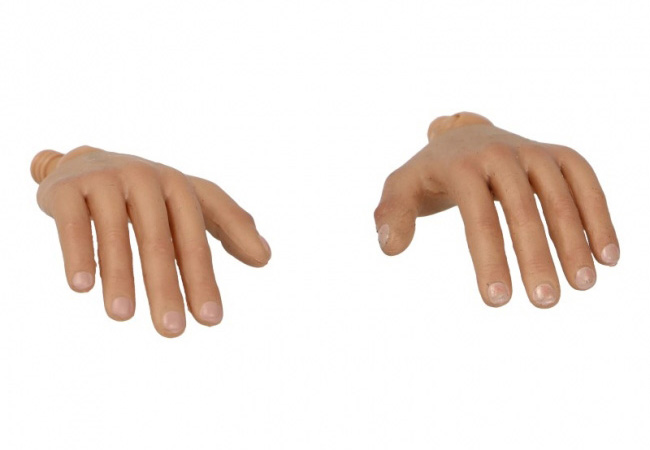 DiD Body w/ 4 Hands