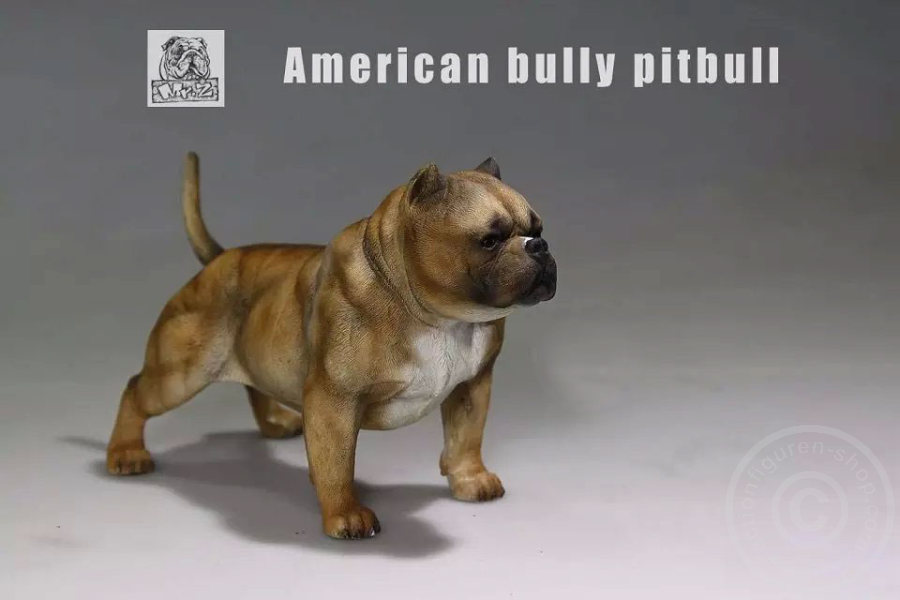 MRZ001-07 American Bully Dog - dark color