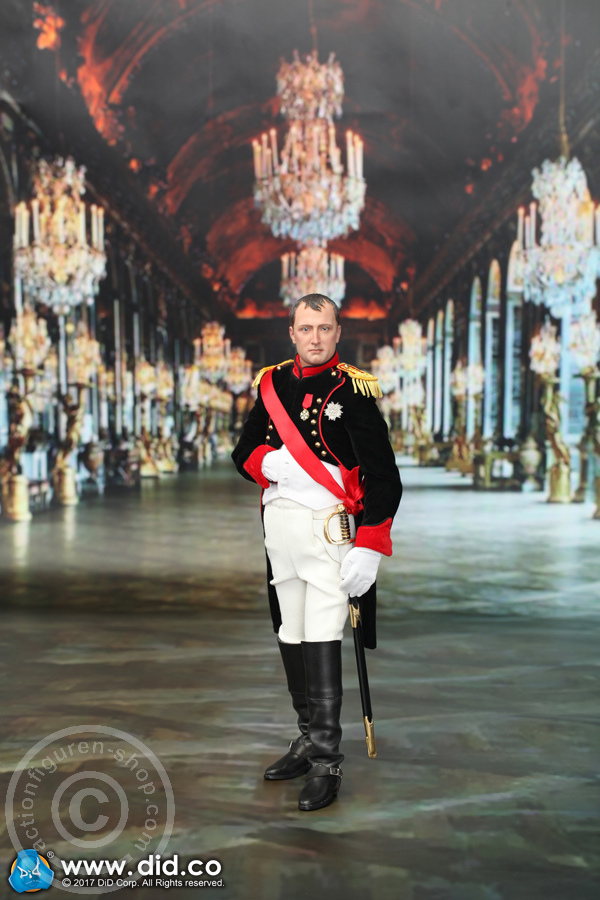 80122-05 Napoleon Bonaparte - Battle Version