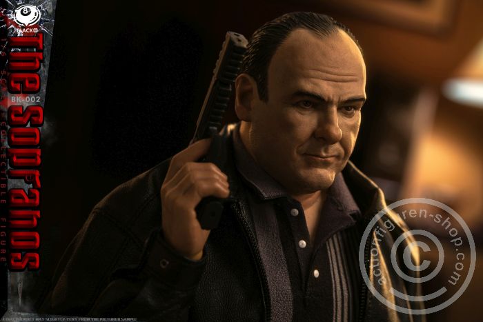 B8-BK002-07 The Sopranos - Tony Soprano