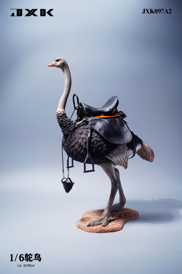 Ostrich - w/ Saddle & Bridle - Version A2