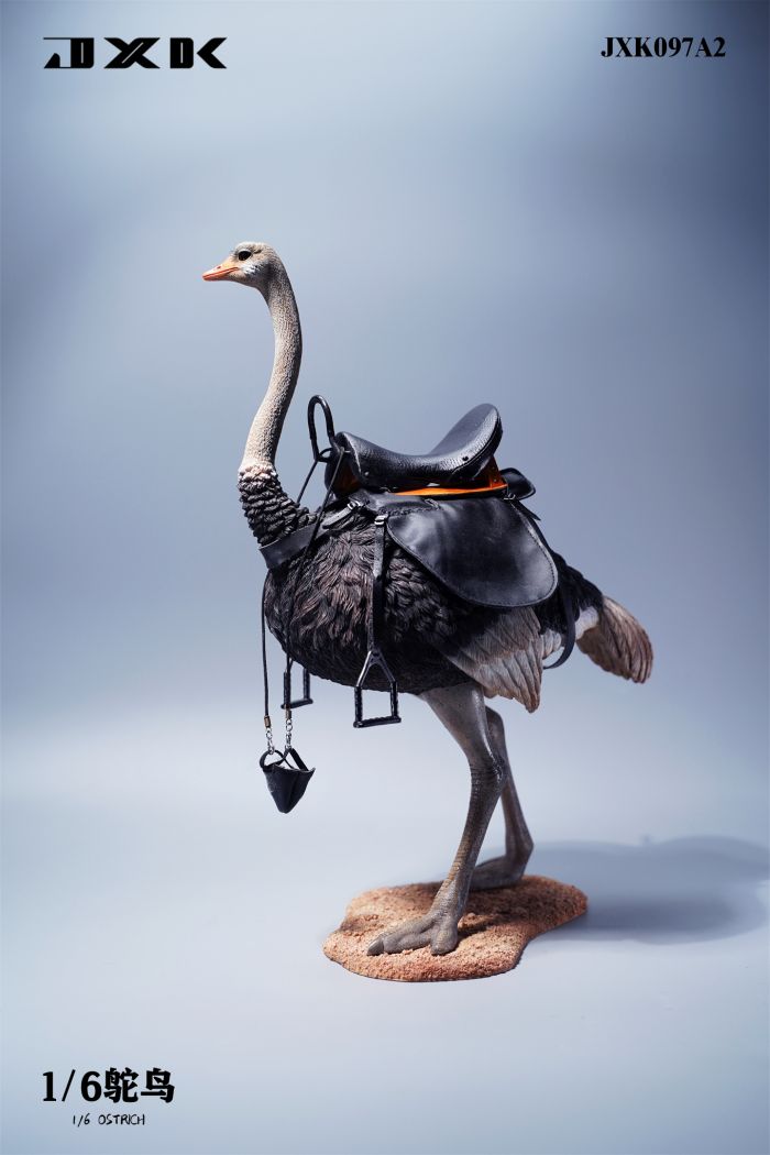 Ostrich - w/ Saddle & Bridle - Version A2 | JxK097A2