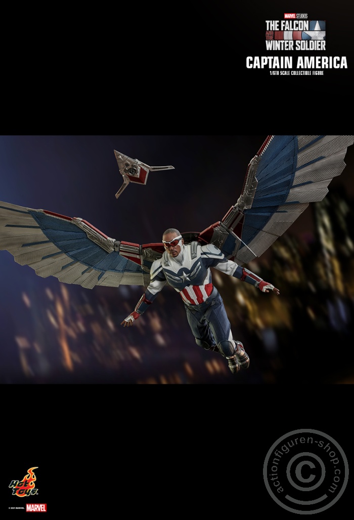 The Falcon and the Winter Soldier - Captain America - TMS040 The Falcon and the Winter Soldier - Captain America - TMS040