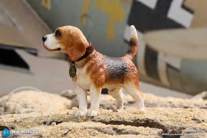 Diorama - "Star of Afrika"