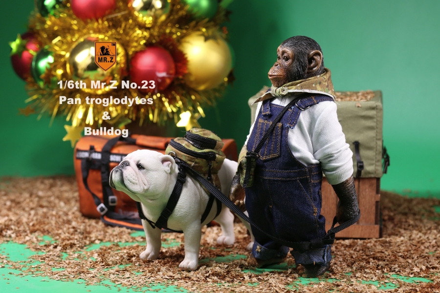 Chimpanzee and Bulldog Set