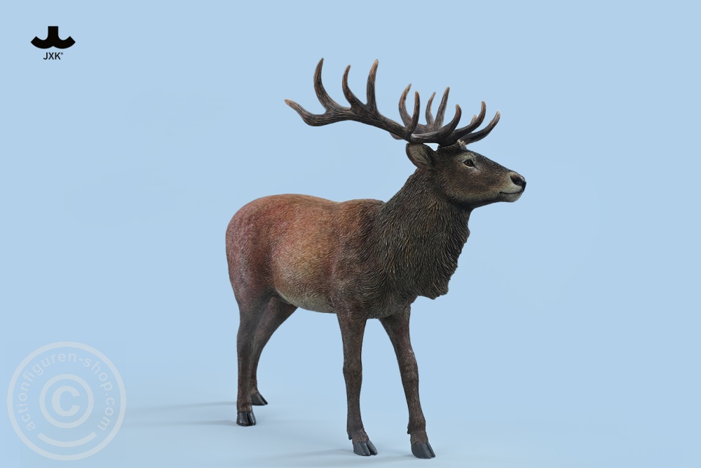 Reindeer - Color B
