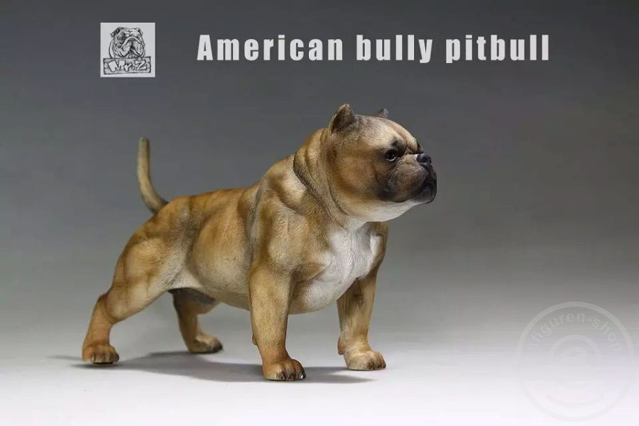 American Bully Dog - dark color