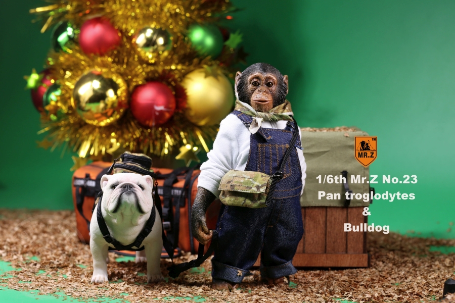 Chimpanzee and Bulldog Set