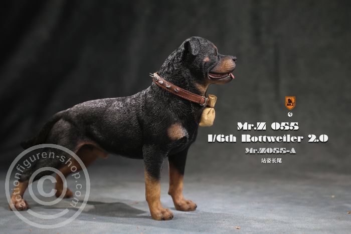 MrZ055A-03 Rottweiler - Version A