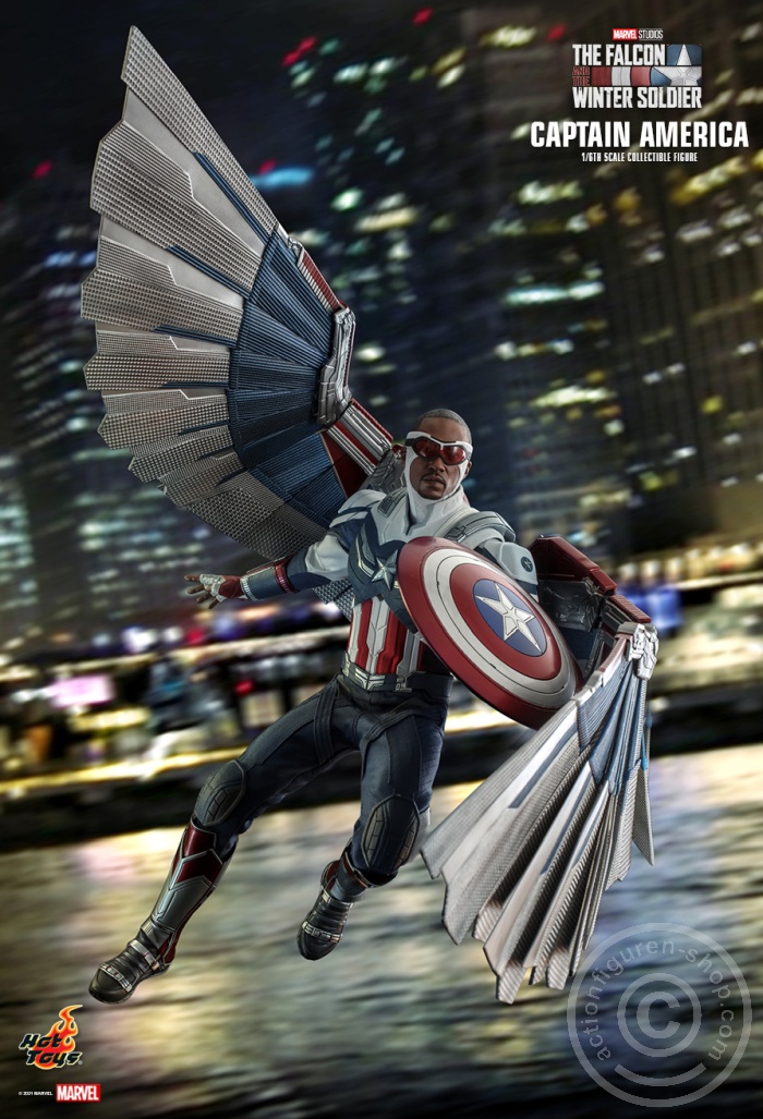 The Falcon and the Winter Soldier - Captain America - TMS040 The Falcon and the Winter Soldier - Captain America - TMS040