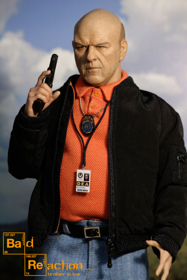 IMM012f-04qzAlAnSUvdEsX Hank Schrader - Brother in Law