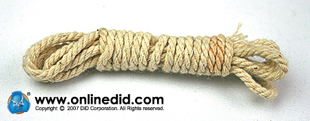 80046-23 David Merrill
