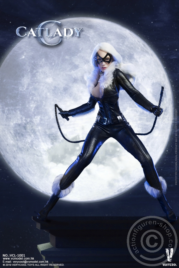 VCL1001-02 Catwoman Set