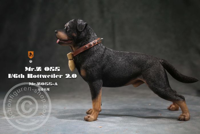 MrZ055A-04 Rottweiler - Version A