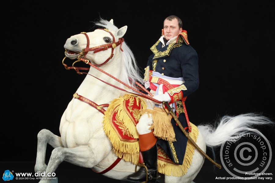 Napoleon Bonaparte - Emperor of France Napoleon Bonaparte - Emperor of France