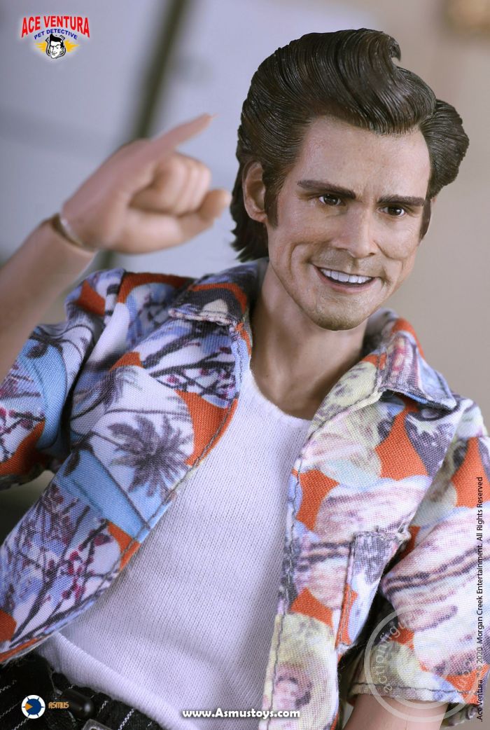 AST068-05 Ace Ventura - Pet Detective