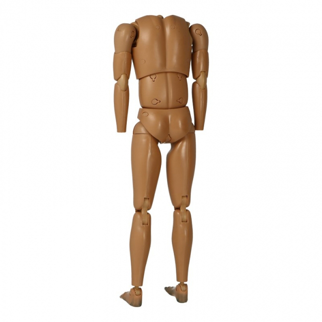 DiD Body (Generation 3) w/ 5 Hands