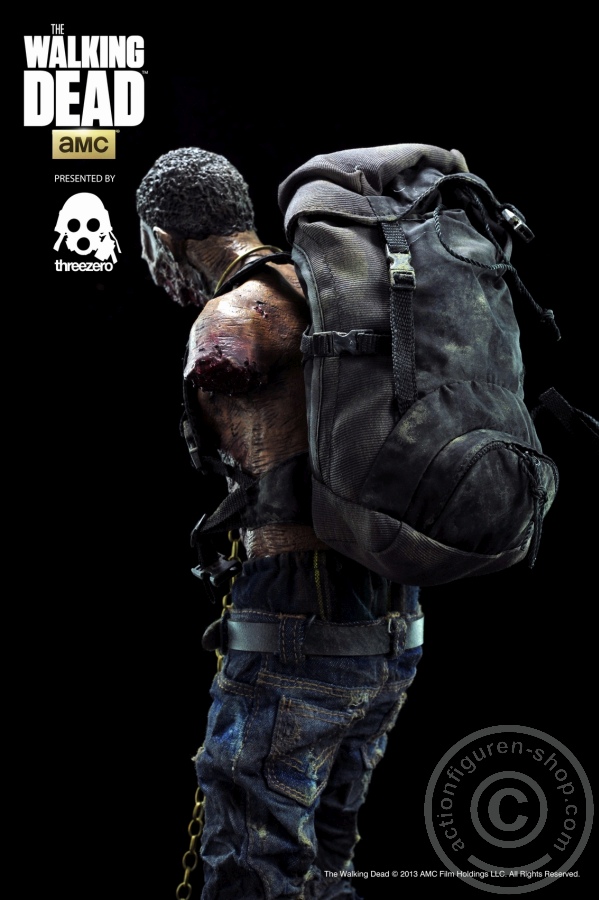 3A-Pet1-06VzSWTKROxdB85 Michonne Zombie Pet 1 (green)