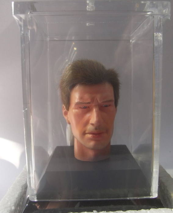 d30001-03_p3GOMb04MowcQaI Ultimate Realistic Head - Braune Haare