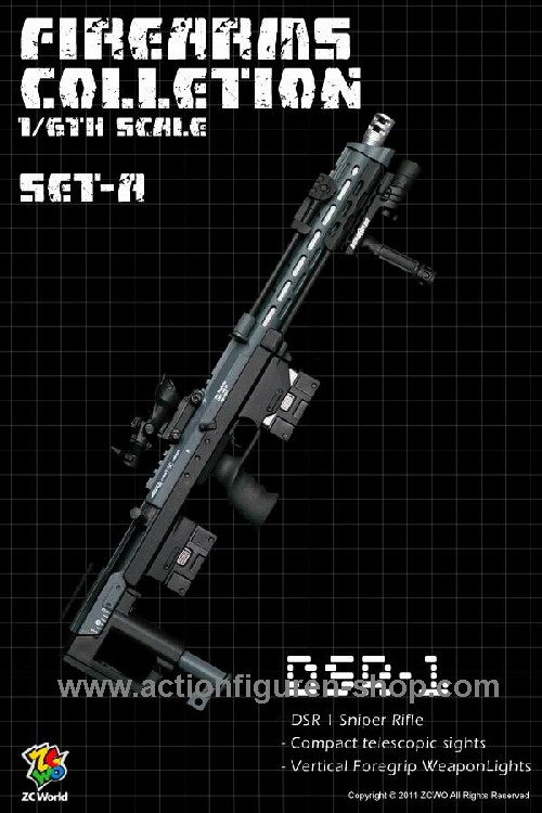 DSR-1 Scharfschützengewehr