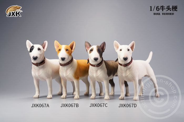 Bull Terrier - white/brown