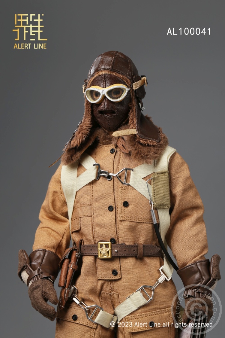 WWII - Soviet Air Force - Ace Pilot