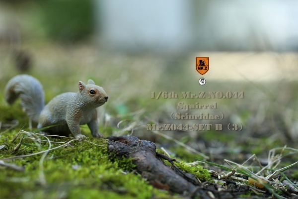 MRZ044B-24 3 Squirrel (Set B)
