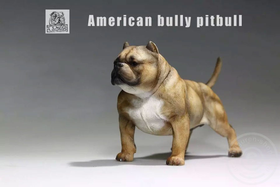 MRZ001-12 American Bully Dog - dark color