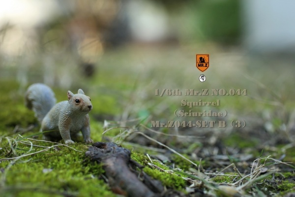 MRZ044B-23 3 Squirrel (Set B)