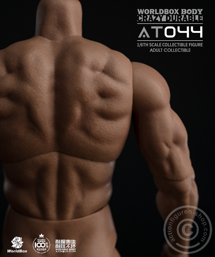 Body - Crazy Durable - Body - Crazy Durable -