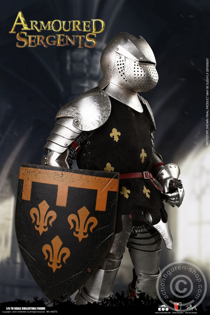 COO-SE071-07 Armored Sergent - Real Chain Armor Display Set