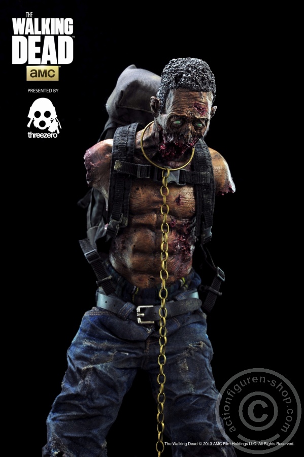 3A-Pet1-05gGApa7XmPnIvO Michonne Zombie Pet 1 (green)
